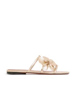 Attireunited.shop41b0fcab87 1