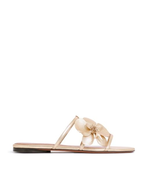Attireunited.shop41b0fcab87 1