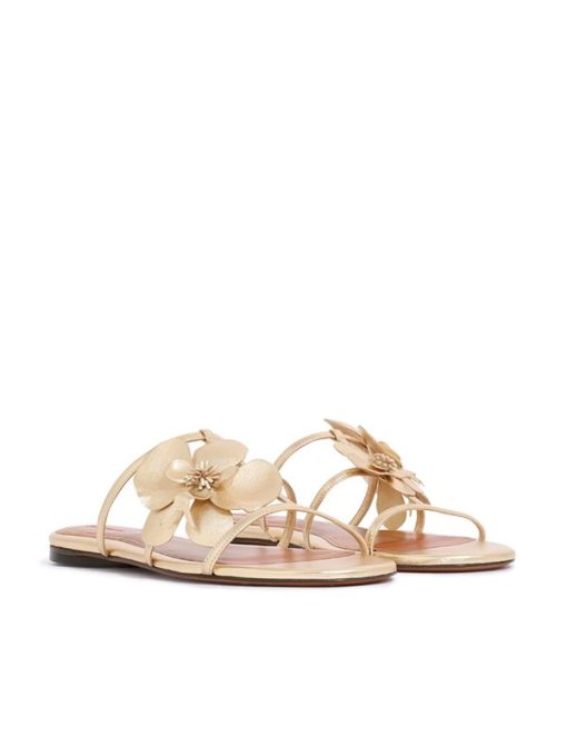 Attireunited.shop41b0fcab87 3