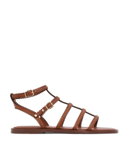 Attireunited.shop59520a5aab 1