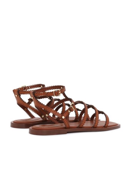 Attireunited.shop59520a5aab 5