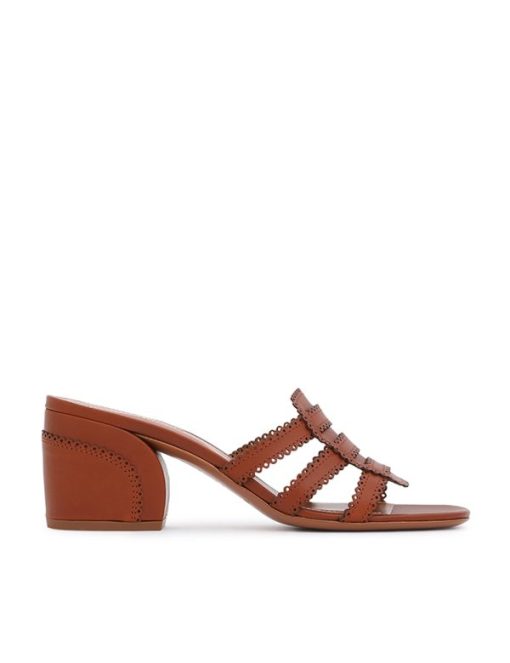 Attireunited.shop70dc1e096c 1