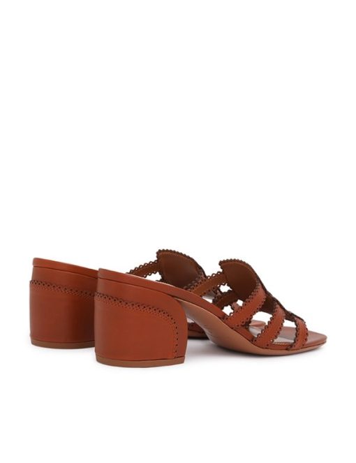 Attireunited.shop70dc1e096c 5