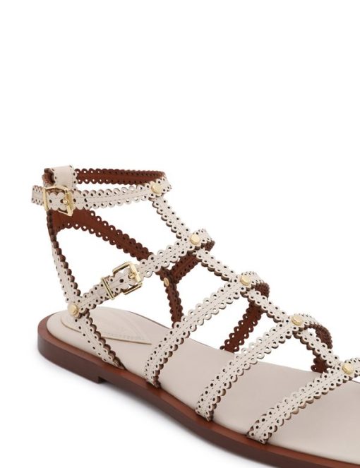 Attireunited.shop7a7f67c944 6